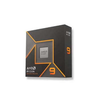 Am5 Amd Ryzen 9 9900X