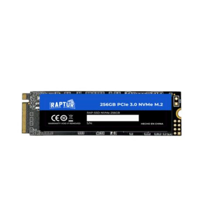 Disco Ssd Raptor 256Gb Legacy M.2 Nvme Pcie 3.0
